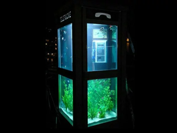 thumbs aquarium telephone 1 14 необычных аквариумов