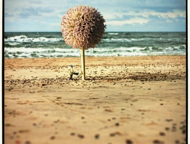 thumbs dream beach by kleemass Dariusz Klimczak картины