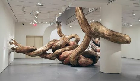 Скульптуры из деревьев Henrique Oliveira